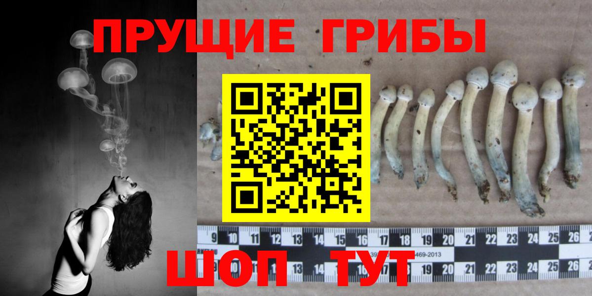 где купить   Вход с VPN  Томск  Галлюциногенные грибы Psilocybe  Псилоцибиновые грибы MAGIC MUSHROOMS 